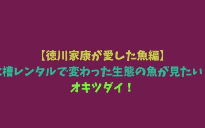 【徳川家康が愛した魚編】水槽レンタルで変わった生態の魚が見たい！オキツダイ！