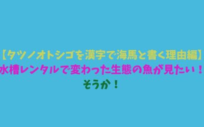 【タツノオトシゴを漢字で海馬と書く理由編】水槽レンタルで変わった生態の魚が見たい！そうか！