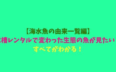 【海水魚の由来一覧編】水槽レンタルで変わった生態の魚が見たい！すべてがわかる！