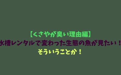 【くさやが臭い理由編】水槽レンタルで変わった生態の魚が見たい！そういうことか！