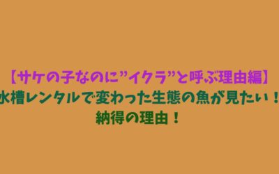 【サケの子なのに”イクラ”と呼ぶ理由編】水槽レンタルで変わった生態の魚が見たい！納得の理由！