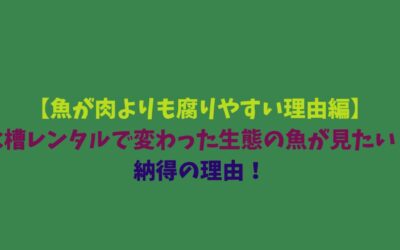 【魚が肉よりも腐りやすい理由編】水槽レンタルで変わった生態の魚が見たい！納得の理由！
