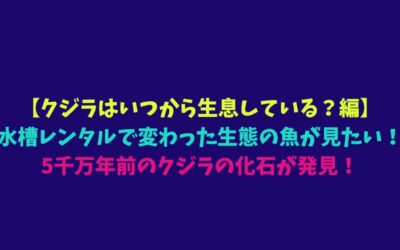 【クジラはいつから生息している？編】水槽レンタルで変わった生態の魚が見たい！5千万年前のクジラの化石が発見！