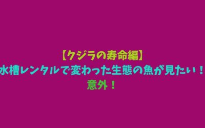 【クジラの寿命編】水槽レンタルで変わった生態の魚が見たい！意外！