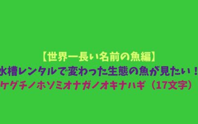 【世界一長い名前の魚編】水槽レンタルで変わった生態の魚が見たい！ウケグチノホソミオナガノオキナハギ（17文字）！