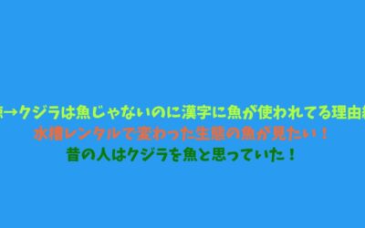 【鯨→クジラは魚じゃないのに漢字に魚が使われてる理由編】水槽レンタルで変わった生態の魚が見たい！昔の人はクジラを魚と思っていた！