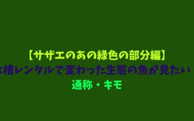 【サザエのあの緑色の部分編】水槽レンタルで変わった生態の魚が見たい！通称・キモ