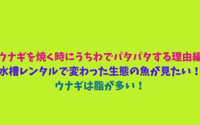 【ウナギを焼く時にうちわでパタパタする理由編】水槽レンタルで変わった生態の魚が見たい！ウナギは脂が多い！