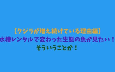 【クジラが増え続けている理由編】水槽レンタルで変わった生態の魚が見たい！そういうことか！