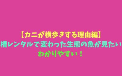 【カニが横歩きする理由編】水槽レンタルで変わった生態の魚が見たい！わかりやすい！