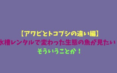 【アワビとトコブシの違い編】水槽レンタルで変わった生態の魚が見たい！そういうことか！
