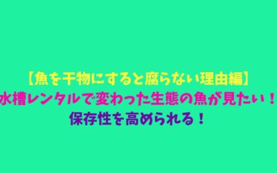【魚を干物にすると腐らない理由編】水槽レンタルで変わった生態の魚が見たい！保存性を高められる！
