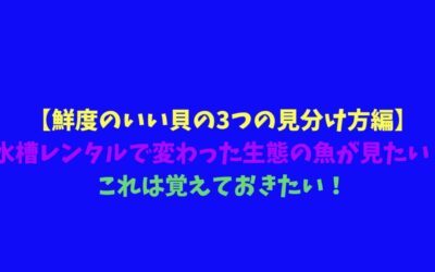 【鮮度のいい貝の3つの見分け方編】水槽レンタルで変わった生態の魚が見たい！これは覚えておきたい！