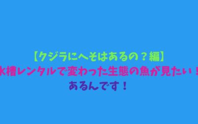 【クジラにへそはあるの？編】水槽レンタルで変わった生態の魚が見たい！あるんです！