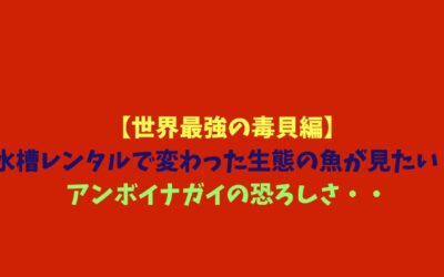 【世界最強の毒貝編】水槽レンタルで変わった生態の魚が見たい！アンボイナガイの恐ろしさ・・