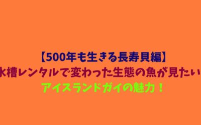 【500年も生きる長寿貝編】水槽レンタルで変わった生態の魚が見たい！アイスランドガイの魅力！