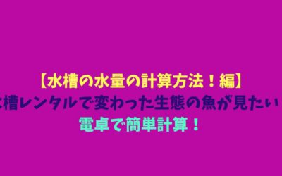【水槽の水量の計算方法！編】水槽レンタルで変わった生態の魚が見たい！電卓で簡単計算！