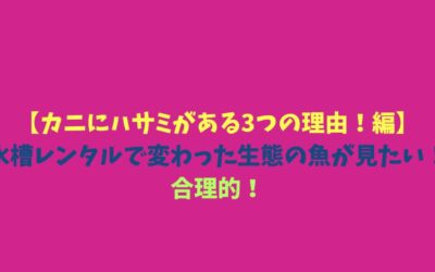 【カニにハサミがある3つの理由！編】水槽レンタルで変わった生態の魚が見たい！合理的！