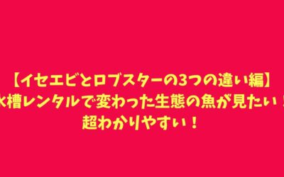【エビやカニを茹でると赤くなる理由編】水槽レンタルで変わった生態の魚が見たい！理屈を解説！