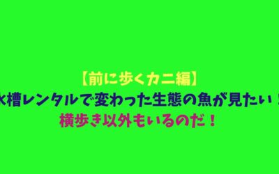【前に歩くカニ編】水槽レンタルで変わった生態の魚が見たい！横歩き以外もいるのだ！