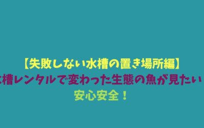 【失敗しない水槽の置き場所編】水槽レンタルで変わった生態の魚が見たい！安心安全！
