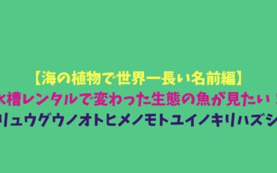 【海の植物で世界一長い名前編】水槽レンタルで変わった生態の魚が見たい！リュウグウノオトヒメノモトユイノキリハズシ