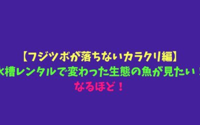 【フジツボが落ちないカラクリ編】水槽レンタルで変わった生態の魚が見たい！なるほど！