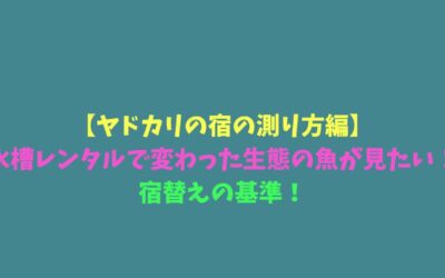 【ヤドカリの宿の測り方編】水槽レンタルで変わった生態の魚が見たい！宿替えの基準！