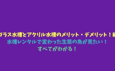 【ガラス水槽とアクリル水槽のメリット・デメリット！編】水槽レンタルで変わった生態の魚が見たい！すべてがわかる！