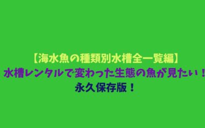 【海水魚の種類別水槽全一覧編】水槽レンタルで変わった生態の魚が見たい！永久保存版！