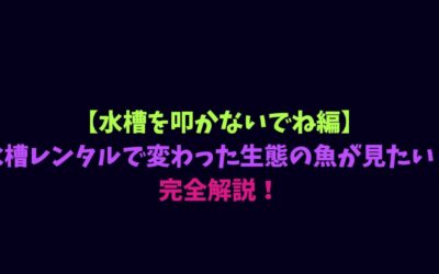 【水槽を叩かないでね編】水槽レンタルで変わった生態の魚が見たい！完全解説！