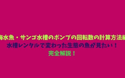 【海水魚・サンゴ水槽のポンプの回転数の計算方法編】水槽レンタルで変わった生態の魚が見たい！完全解説！