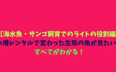 【海水魚・サンゴ飼育でのライトの役割編】水槽レンタルで変わった生態の魚が見たい！すべてがわかる！