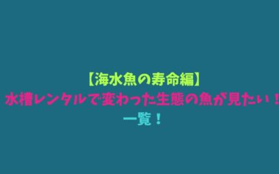 【海水魚の寿命編】水槽レンタルで変わった生態の魚が見たい！一覧！