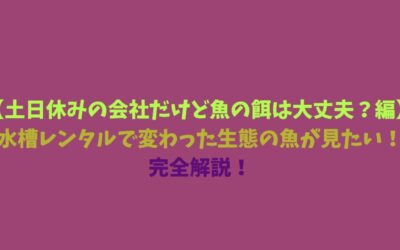 【土日休みの会社だけど魚の餌は大丈夫？編】水槽レンタルで変わった生態の魚が見たい！完全解説！