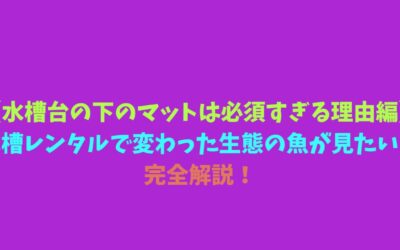 【水槽台の下のマットは必須すぎる理由編】水槽レンタルで変わった生態の魚が見たい！完全解説！