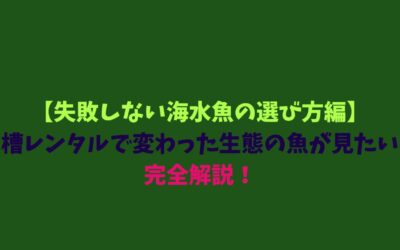 【失敗しない海水魚の選び方編】水槽レンタルで変わった生態の魚が見たい！完全解説！
