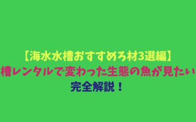【海水水槽おすすめろ材3選編】水槽レンタルで変わった生態の魚が見たい！完全解説！