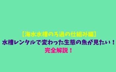【海水水槽のろ過の仕組み編】水槽レンタルで変わった生態の魚が見たい！完全解説！