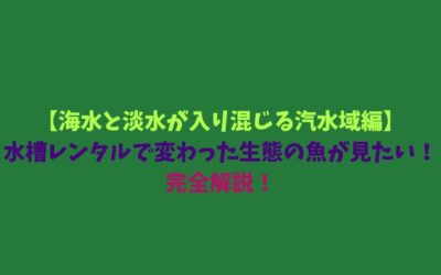 【海水と淡水が入り混じる汽水域編】水槽レンタルで変わった生態の魚が見たい！完全解説！
