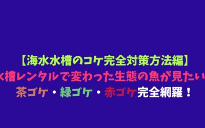 【海水水槽のコケ完全対策方法編】水槽レンタルで変わった生態の魚が見たい！茶ゴケ・緑ゴケ・赤ゴケ完全網羅！
