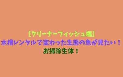 【クリーナーフィッシュ編】水槽レンタルで変わった生態の魚が見たい！お掃除生体！