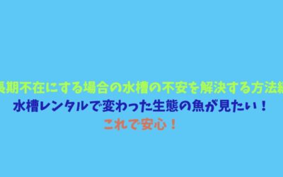 【長期不在にする場合の水槽の不安を解決する方法編】水槽レンタルで変わった生態の魚が見たい！これで安心！