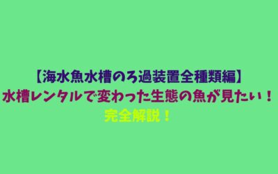 【海水魚水槽のろ過装置全種類編】水槽レンタルで変わった生態の魚が見たい！完全解説！
