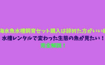 【海水魚水槽飼育セット購入は辞めた方がいい編】水槽レンタルで変わった生態の魚が見たい！完全解説！