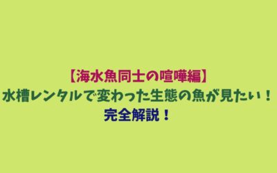 【海水魚同士の喧嘩編】水槽レンタルで変わった生態の魚が見たい！完全解説！