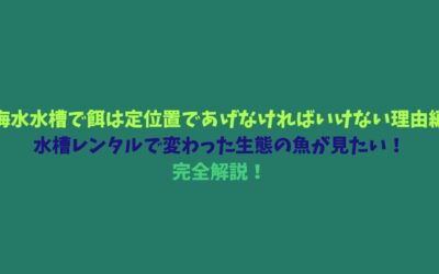 【海水水槽で餌は定位置であげなければいけない理由編】水槽レンタルで変わった生態の魚が見たい！完全解説！