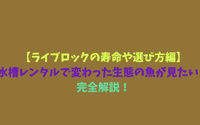【ライブロックの寿命や選び方編】水槽レンタルで変わった生態の魚が見たい！完全解説！