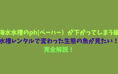 【海水水槽のph(ペーハー）が下がってしまう編】水槽レンタルで変わった生態の魚が見たい！完全解説！