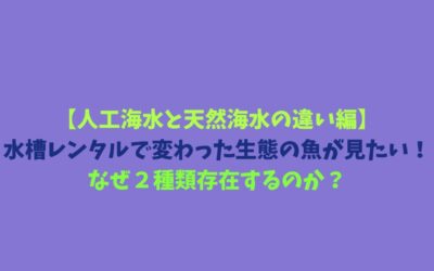 【人工海水と天然海水の違い編】水槽レンタルで変わった生態の魚が見たい！なぜ２種類存在するのか？